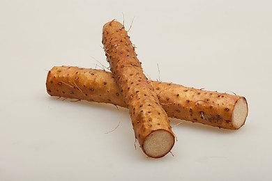 《异度神剑3》新角色“卢迪”  7月29日上线